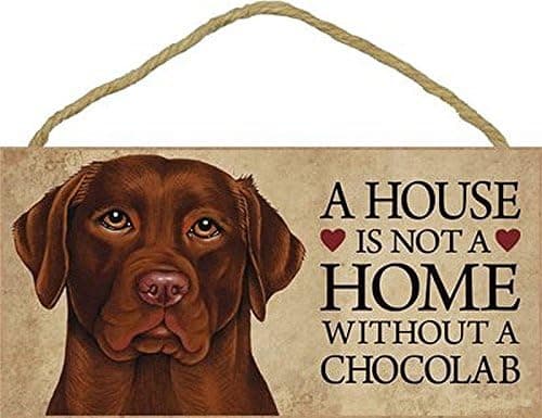 1 X A house is not a home without Chocolate Labrador Retriever - 5" x 10" Door Sign