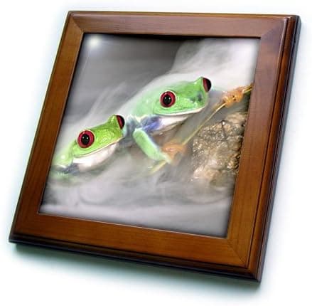 3dRose ft_83765_1 Red Eye Treefrog in The Mist, Central America-NA02 DNO0022-David Northcott-Framed Tile, 8 by 8-Inch