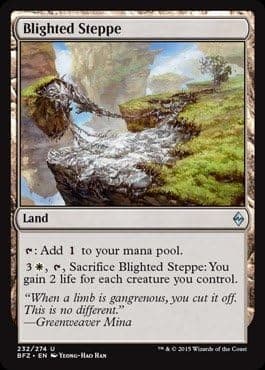 Magic The Gathering - Blighted Steppe (232/274) - Battle for Zendikar