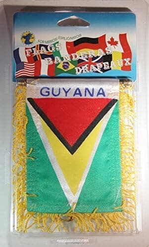 Souvenir Destiny Guyana Flag Rear View Mirror Mini Banner 4"x 5.5"