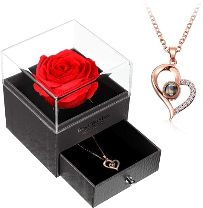 itCauko Preserved Real Rose Eternal Handmade Preserved Rose with Love You Necklace 100 Languages Gift (red)