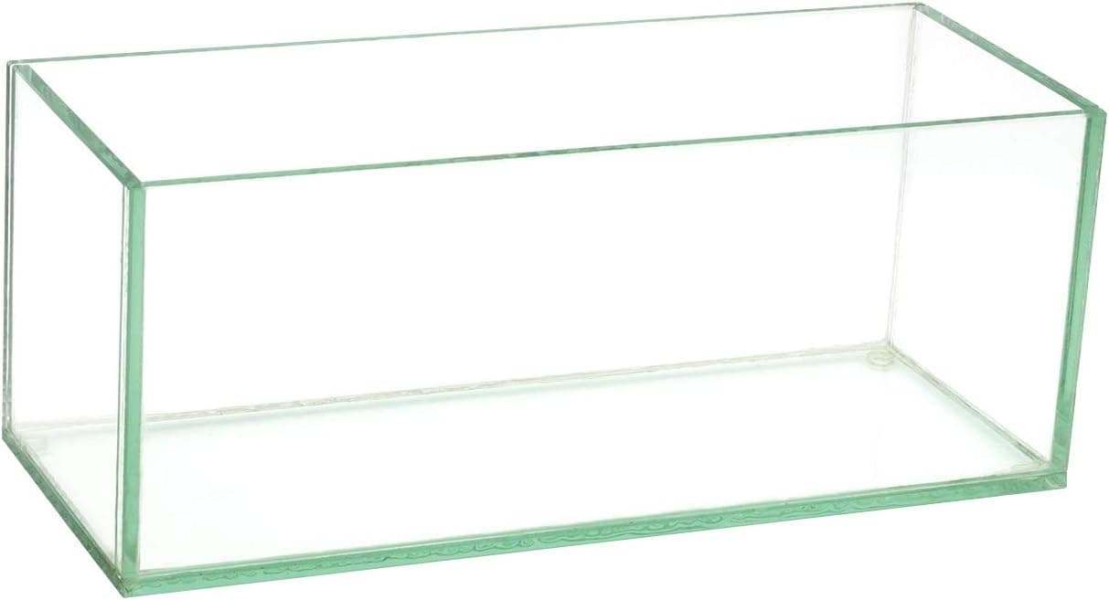 Royal Imports Flower Glass Vase Decorative Centerpiece for Home or Wedding Oblong Rectangle Shape, 10" Long, 4" Hx4 W Opening, Clear