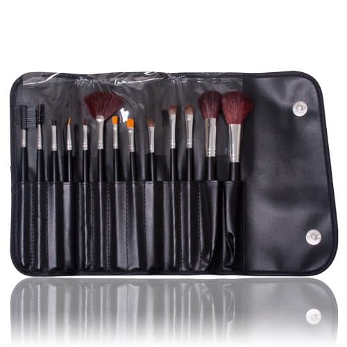 Flexzion 13PCS Makeup Brushes Set Professional Cosmetic Tool Kit Collection Accessory for BB Cream Concealer Eyeshadow Face Lip Powder Foundation and Blush With Black Carrying Bag