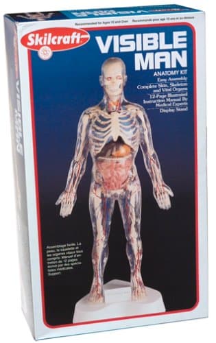 Visible Man Kit