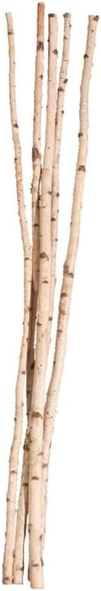 Pack of 5 Decorative Wood Birch Poles 6'