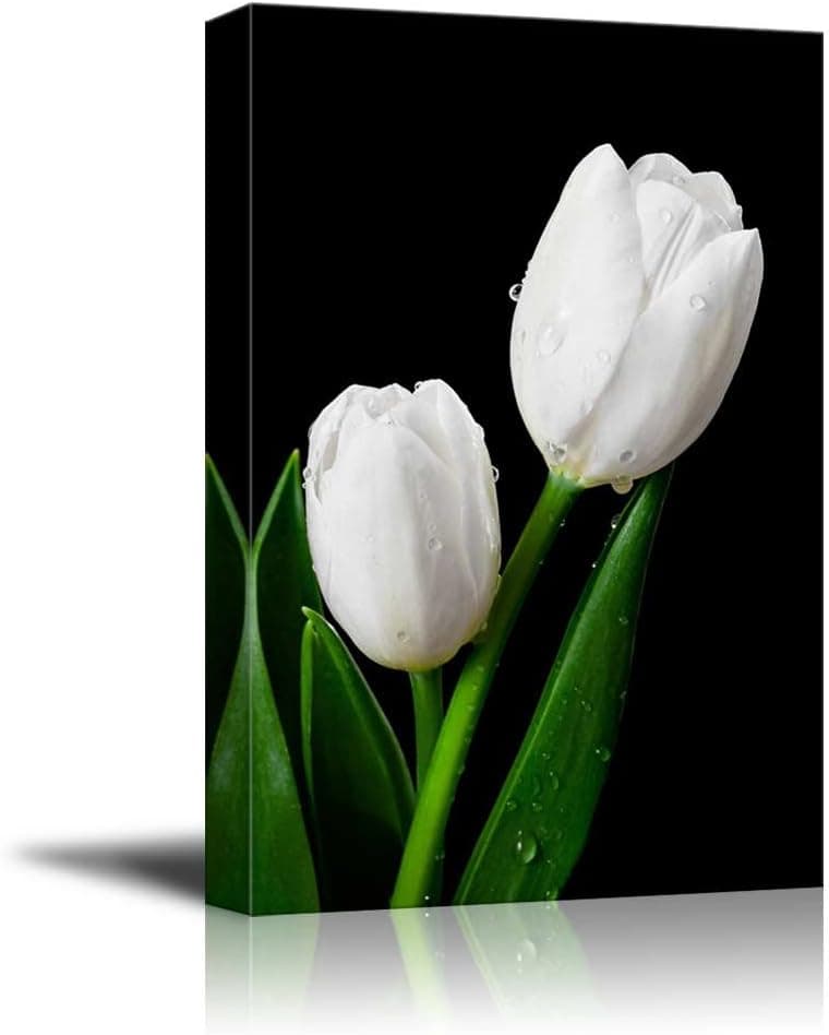 wall26 - Canvas Prints Wall Art - White Tulip on Black Background | Modern Wall Decor/Home Decoration Stretched Gallery Canvas Wrap Giclee Print. Ready to Hang - 16" x 24"