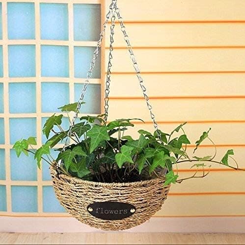 Mecai Hanging Flower Plant Indoor Outdoor Basket Planter Holder Growers Hanging Basket Planter with Chain Flower Plant Pot Home Garden Balcony Decoration 1pcs-12 inches
