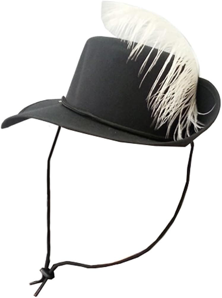 Funny Party Hats Three Musketeers Hat - Musketeer Style Black Hat With White Feather