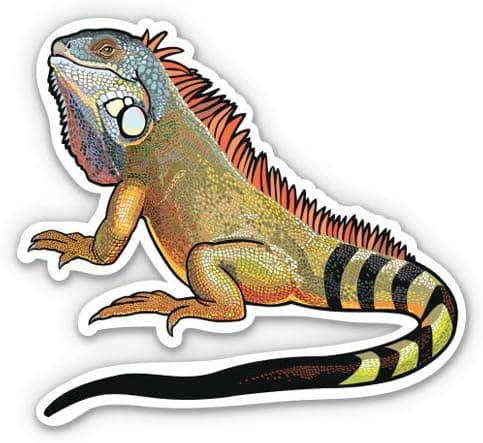 GT Graphics Iguana - 5" Vinyl Sticker - for Car Laptop I-Pad - Waterproof Decal