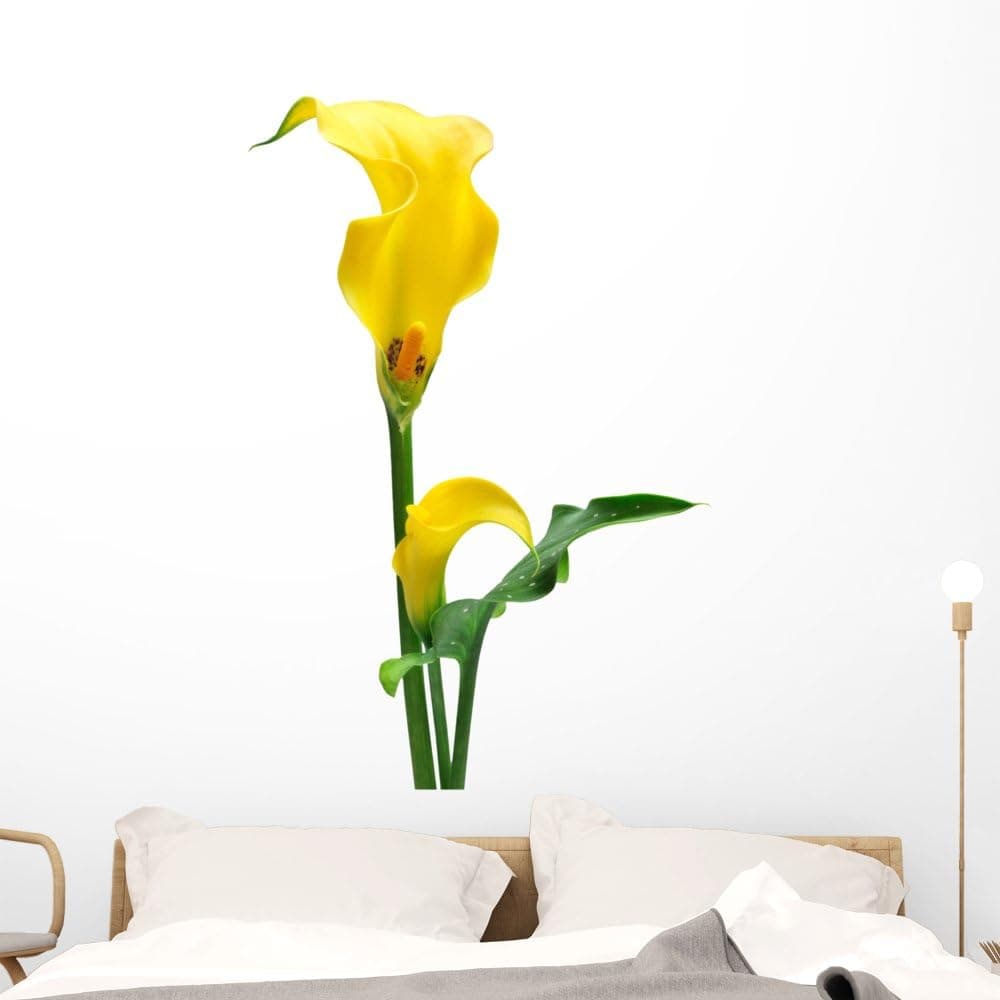 Wallmonkeys Yellow Zantedeschia White Wall Decal Peel and Stick Floral Graphic (48 in H x 32 in W) WM348752