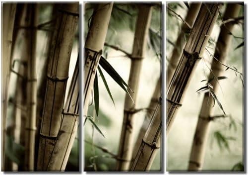 Picture Sensations Framed Huge 3-Panel Feng Shui Bamboo Giclee Canvas Print