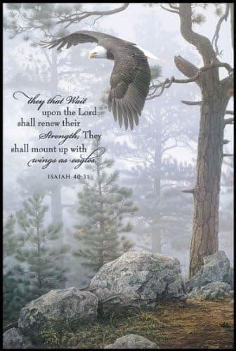 Eagle Shrouded Forest Trees Wait Upon The Lord Renew Strength Mini Wall Print