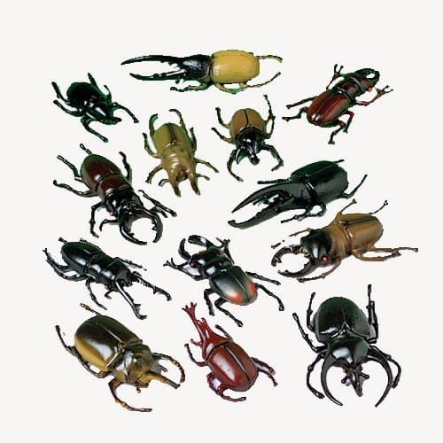 U. S. Toy Toy Bugs (Dozen), 1603, Black/White, 3"