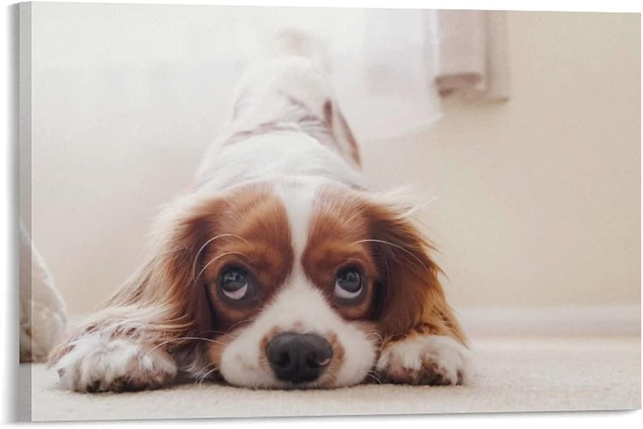 Cavalier King Charles Spaniel Puppy Home Loving Dog Animals Poster (2) Canvas Poster Wall Art Decor Print Picture Paintings for Living Room Bedroom Decoration 24×36inch(60×90cm)