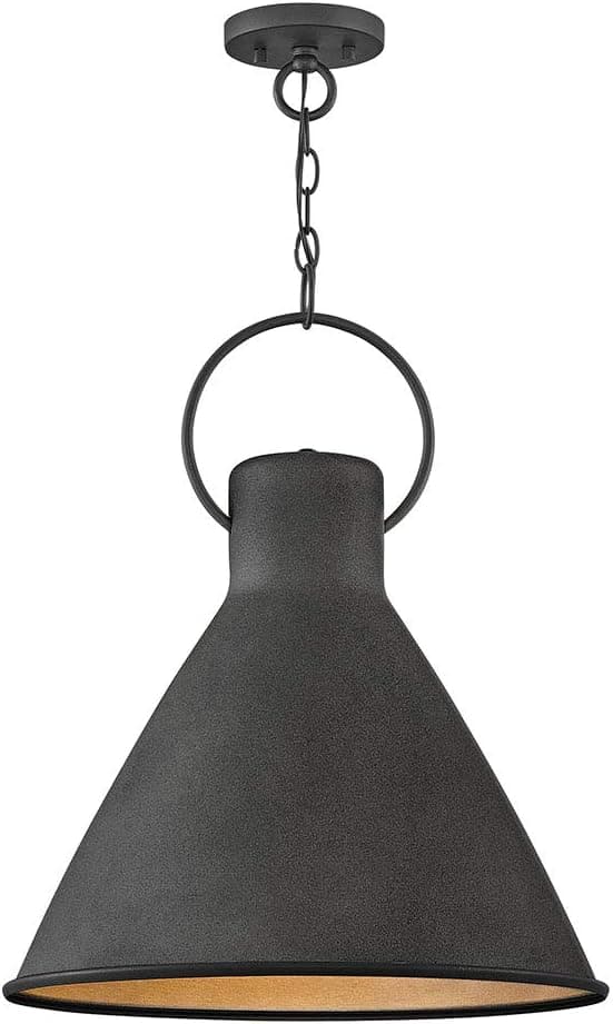 Hinkley Winnie Collection One Light Large Pendant, Aged Zinc/Distressed Black