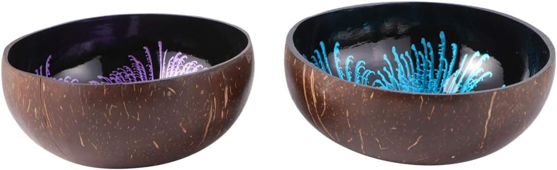 Hemoton 2PCS Natural Coconut Shell Bowl Storage Bowl Candy Container Nuts Holder (Pattern 2 and Pattern 3)