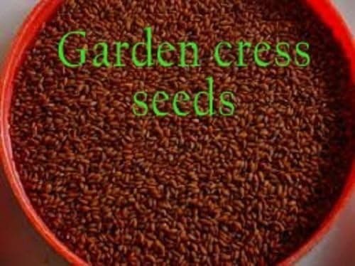 1 kg HALIM Aliv GARDEN CRESS SEEDS Lepidium Sativum Ayurveda