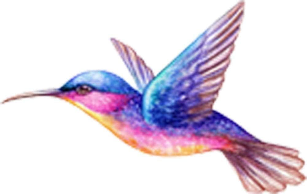 Beautiful Vibrant Colored Hummingbird Art #6 Vinyl Decal Sticker (2" Wide)