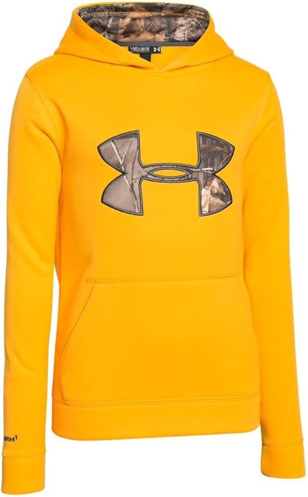 Under Armour Youth Boys Fleece Storm Printed Big Logo Hoody