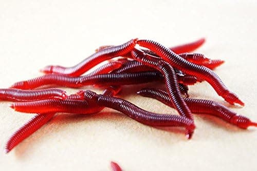 Fishing Bait - Fishing Lures for Freshwater - Fake Worms - 100pcs 4cm 0.19g Soft Lure Red Worms Earthworm Fishing Baits Worms Trout Fishing Lures Fishing Tackle Fishing Spoon jigs