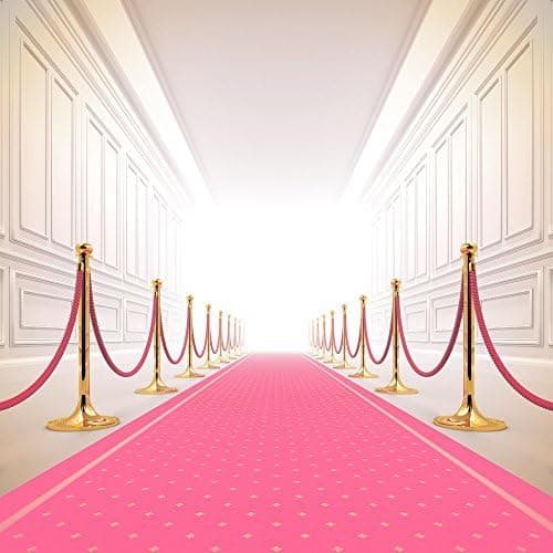 FiVan-Us 8x8ft(250x250cm) Cartoon Stage Photography Props Pink Carpet Photography Backgrounds FT-5535