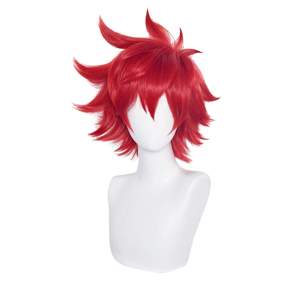 SL Mens Anime Cosplay Wig for SK8 Red Fluffy Spiky Hair Wig - Need Style by Yourself (REKI)