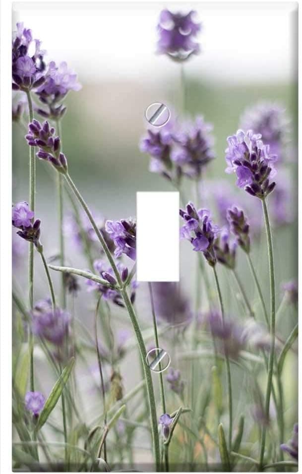 Switch Plate Single Toggle - Lavender Purple Lavender Flowers Violet Blossom