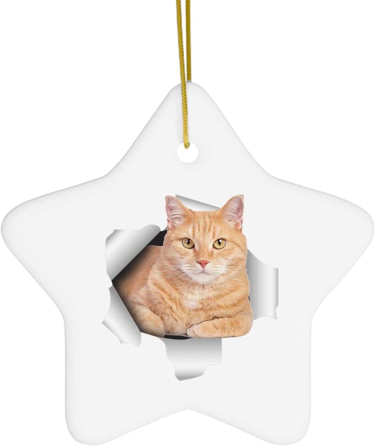 Funny Tabby Cat Orange Coming Out of Cracked Wall Gifts 2023 Christmas Tree Ornaments Ceramic Star