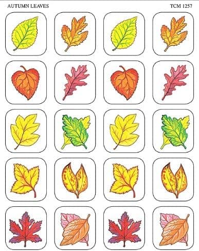 Teacher Created Resources Autumn Leaves Stickers, Multi Color (1257)