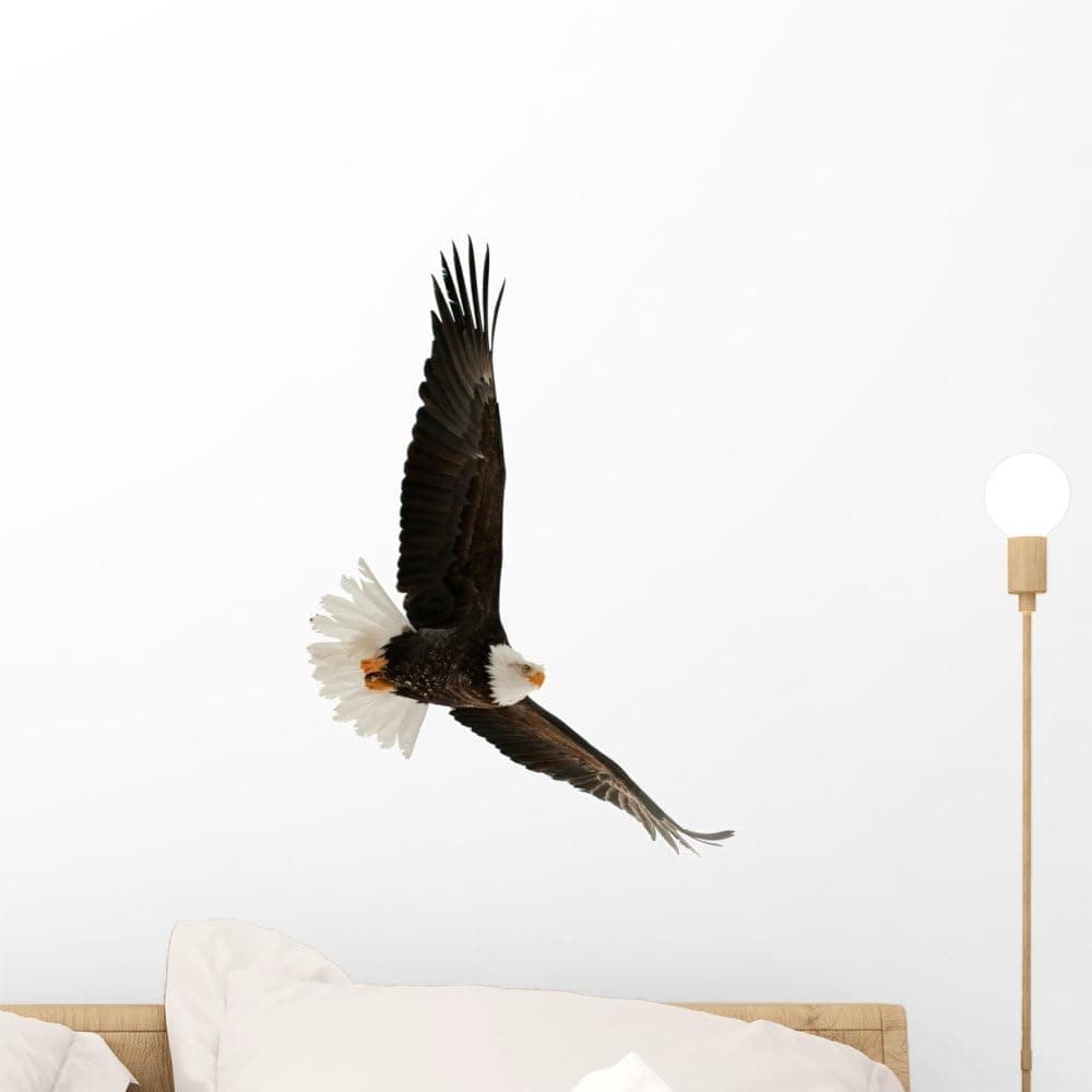 Wallmonkeys WM152042 The Bald Eagle Haliaeetus Leucocephalus Peel and Stick Wall Decals (18 in H x 17 in W), Small