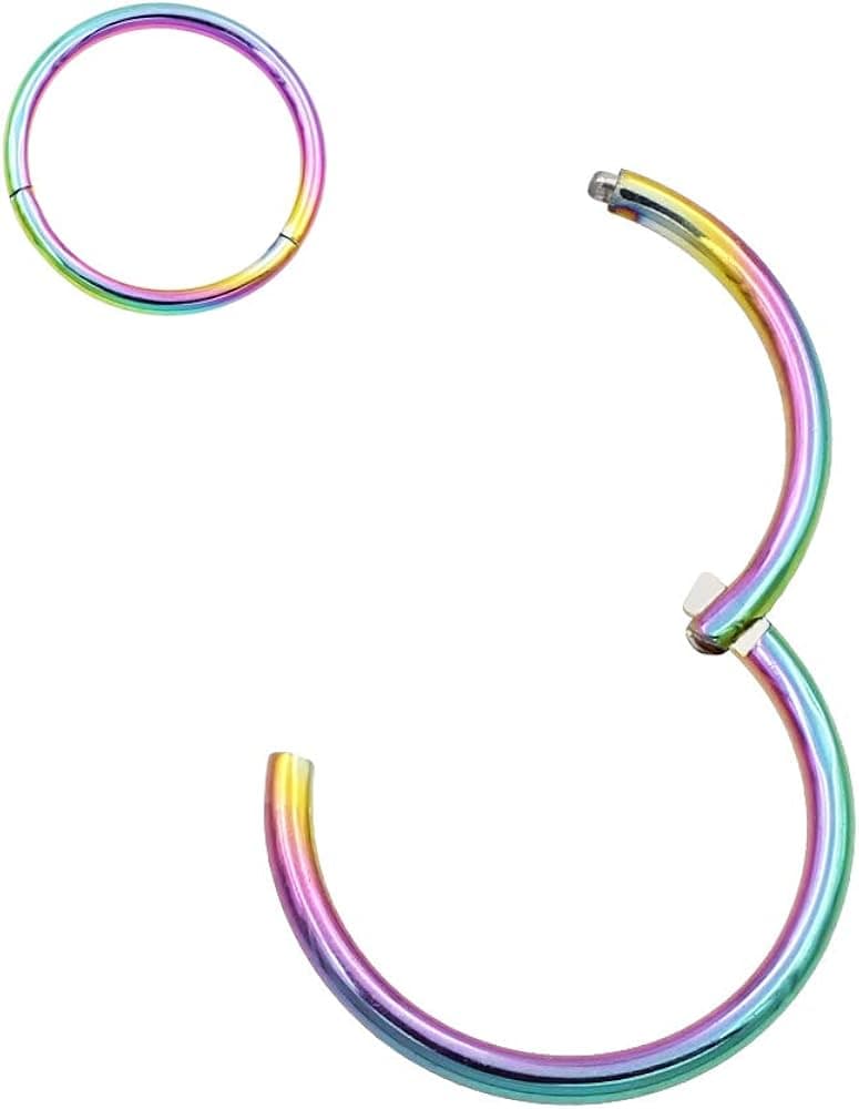 FANSING 316l Surgical Steel Hinged Nose Rings Hoop 20G 18G 16G 14G 12G 10G 8G 6G, Diameter 5mm to 22mm, Gold - Rose Gold - Silver - Black - Blue - Rainbow