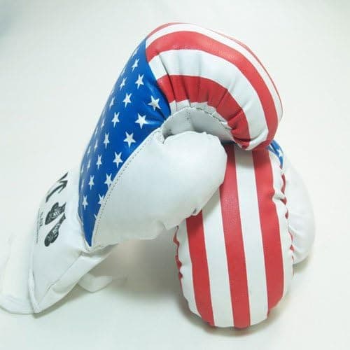 Kids Boxing Gloves - USA