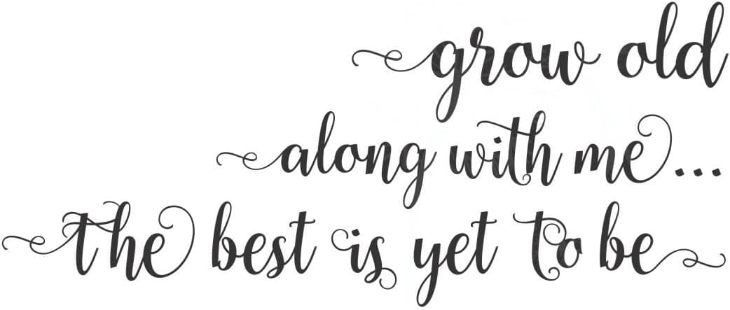 Grow Old Along with Me Bedroom Wall Saying Vinyl Decal Stickers 23x10-Inch Black