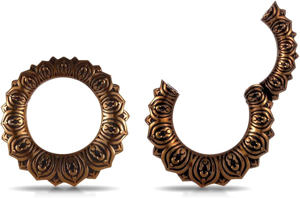 PUNKYOUTH 1 Pair 2g Ear Hanger Dangle Gauges For Ear Hoop Ear Plugs Brass Ear Gauges Floral Retro Dragon Stretcher Expander Piercings