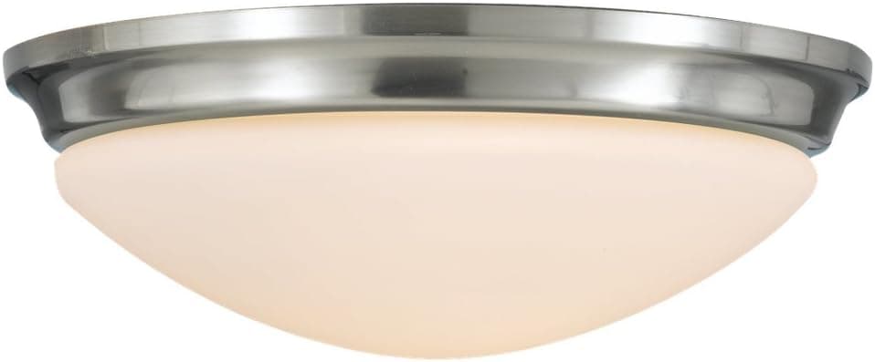 Sea Gull Lighting FM272BS Barrington Two Light Flush Mount, Brushed Steel