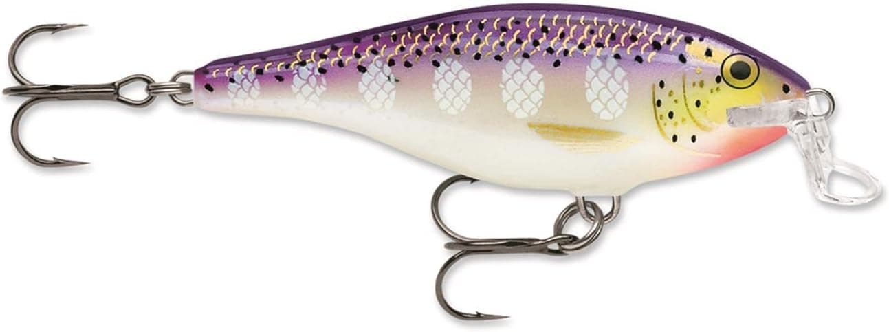 Rapala Shallow Shad Rap 05 Fishing lure (Purpledescent , Size- 2.5)