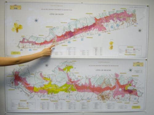 Art et Cartographie Collection Pierre Poupon Burgundy Vineyard Map Set