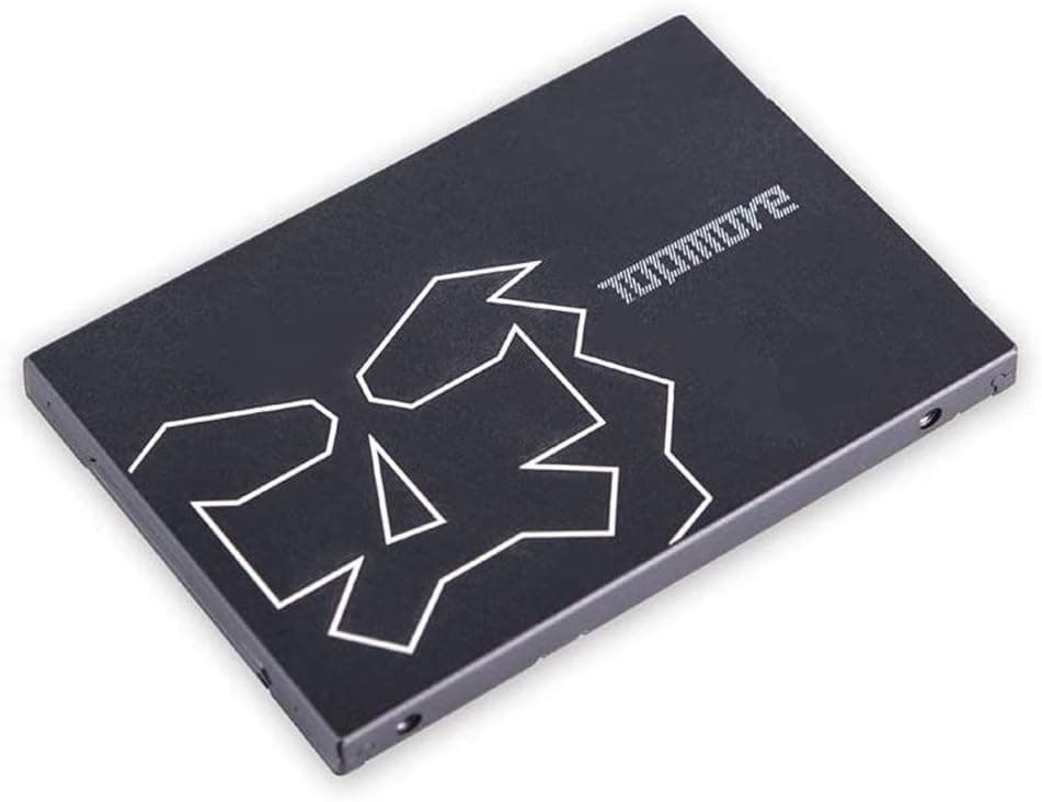 TOPMORE TLC 240GB 2.5 Inch SATA III Internal Solid State Drive SSD | Made in Taiwan (240GB)