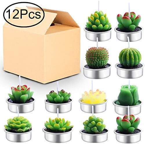 Outee Cactus Tealight Candles 12 Pack Handmade Delicate Succulent Cactus Candles Flameless Aromatherapy 12 Designs for for Birthday Party Wedding Spa