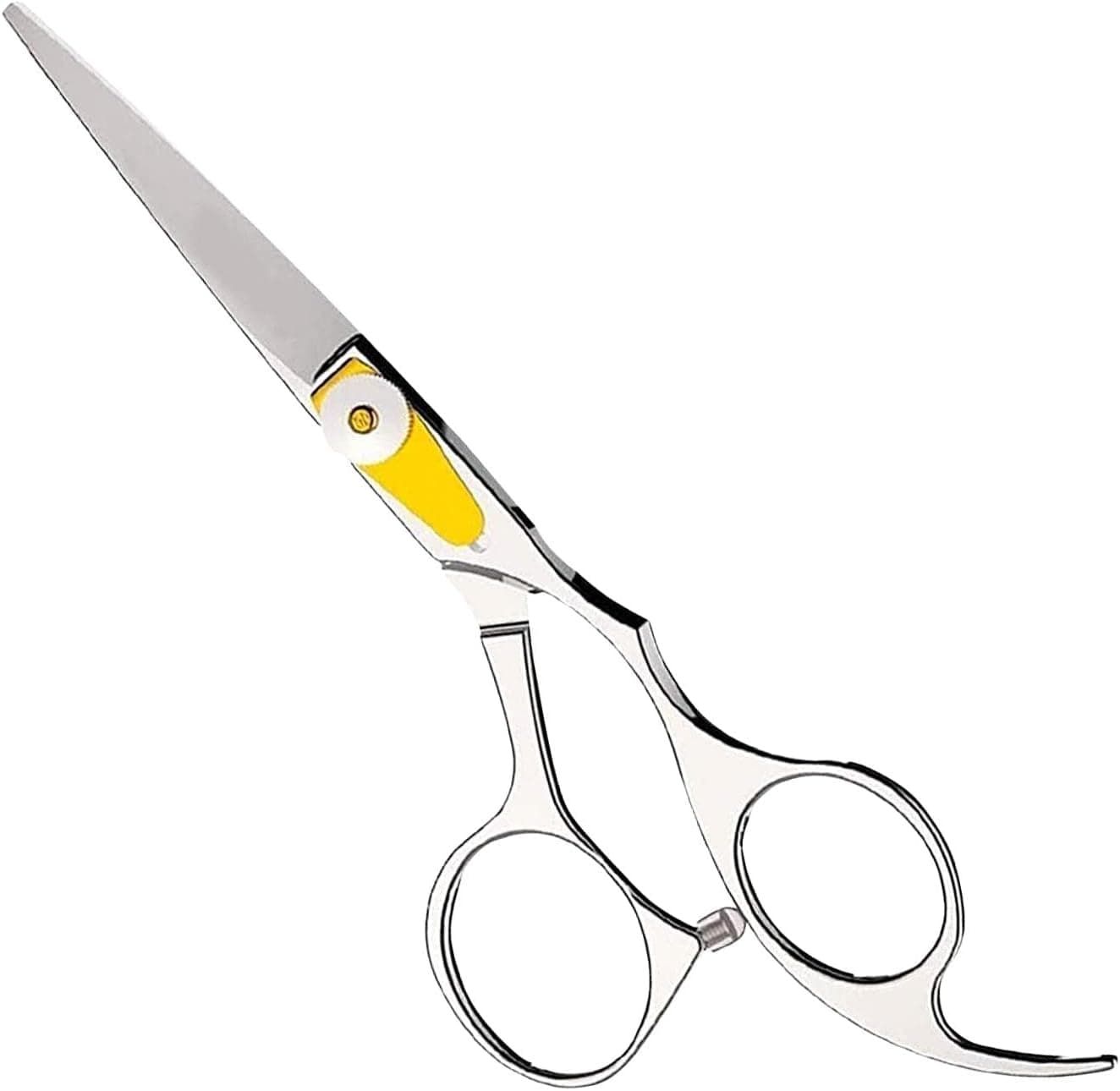 GIER Professional Hairdressing Scissors 6.5" Sharp Japanese J2 Stainless Steel Barber Hair Scissor with Adjustable Screw | Hairdressers Hair Cutting Shears for Salon Barbers, Men and Women