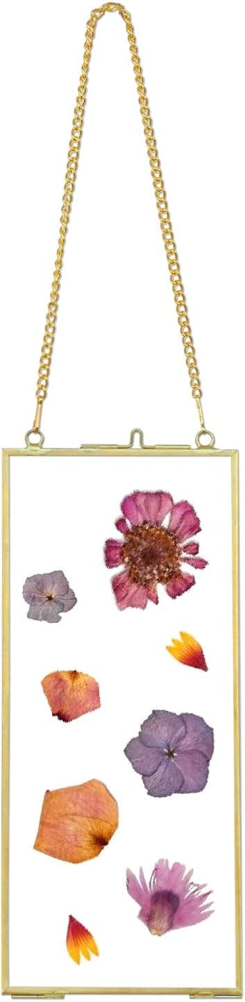 Vintage Gold Brass 4x9 Inches Rectangle Pressed Flower Photo Frames, Hanging Double Floating Clear Glass Artwork Picture Frames Display Dried Flowers Plants Specimen Frame Geometric Herbarium Ornament