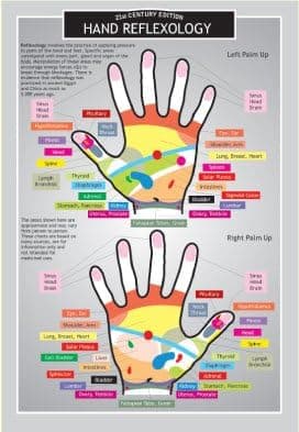 Hand Reflexology - Two Sided Color Informational Chart