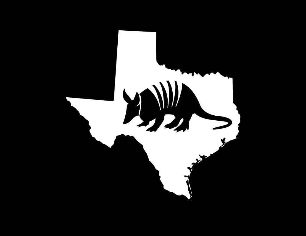 ND428W Texas With Armadillo Decal Sticker | 5.5-Inches By 5.3-Inches | Premium Quality White Vinyl