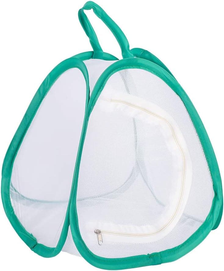 Collectfun Butterfly Habitat Insect Cage Terrarium Pop-up Caterpillars House 9 x 9 inches Tall (9 x 9 inches)