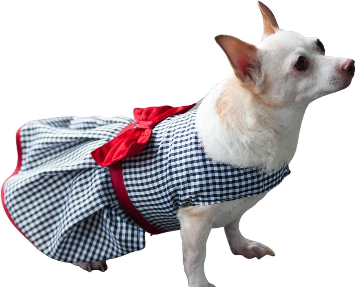 Pretty Dog Dress for Medium Large Breeds (AA, Grey)