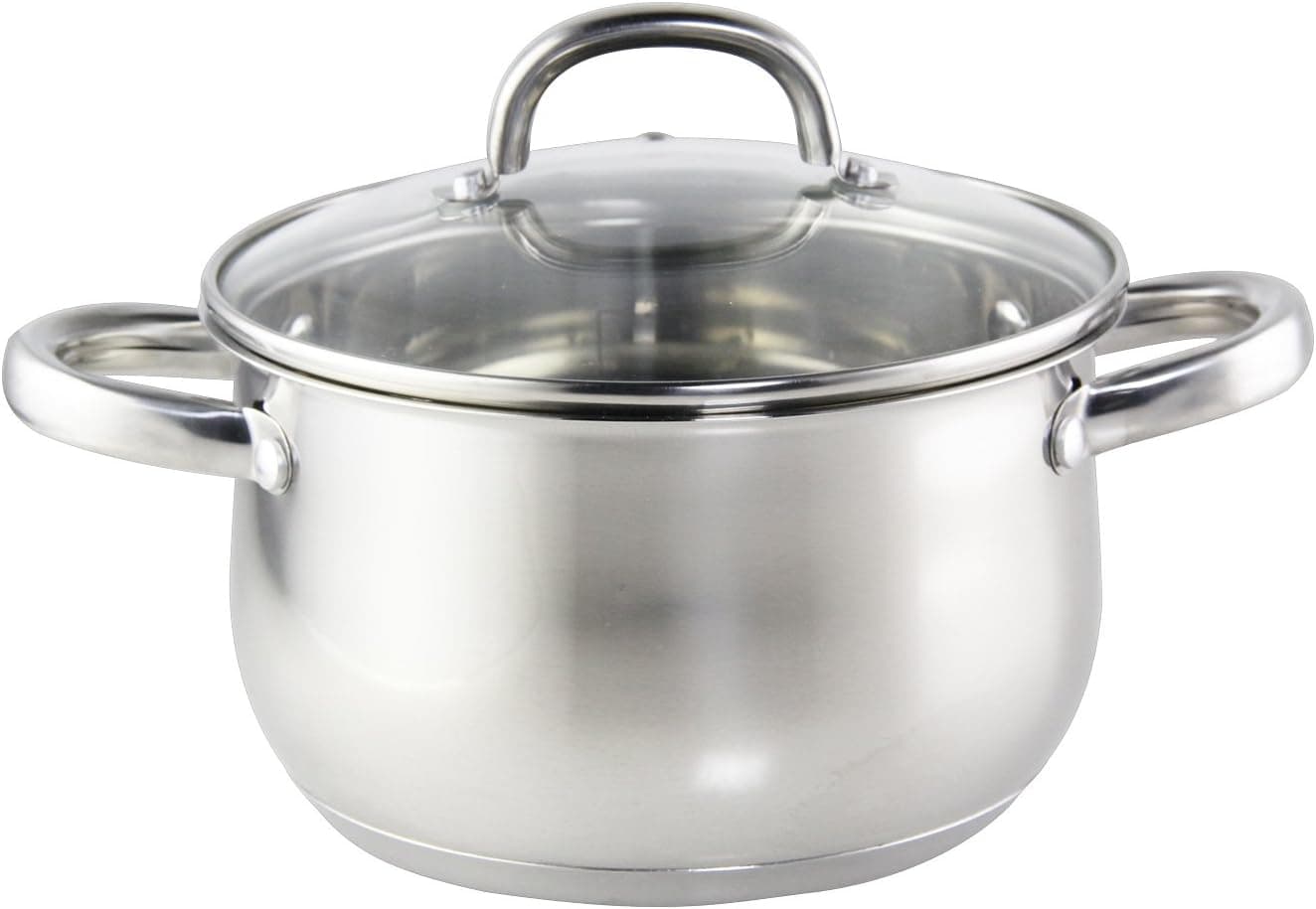 Riwendell Stainless Steel Shallow Stockpots with Glass Lid Metal Handle 5 Quart (24CA)