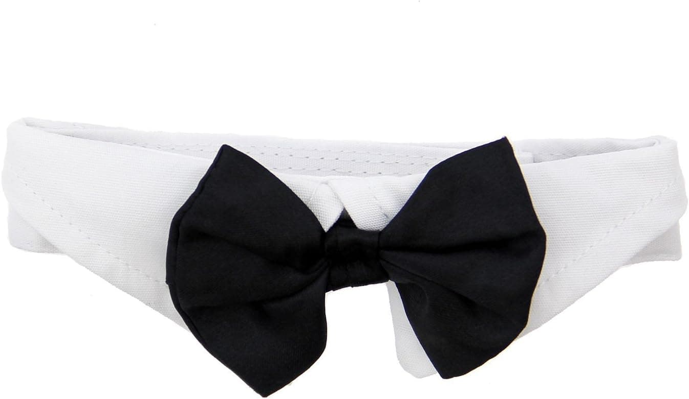 DOGGIE DESIGN Formal Black Dog Bow Tie (Large: Neck 16-19")