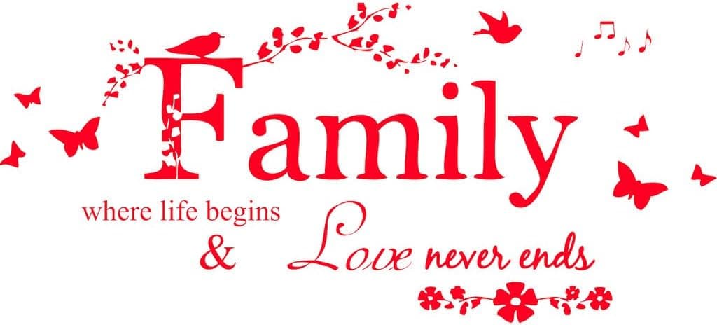 Blinggo Red 40" x 18" Family Letter Quote Removable Vinyl Decal Art Mural Home Decor Wall Stickers