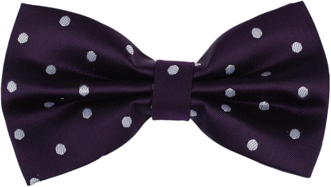 Dan Smith Men's Fashion Multi Polka Dots Microfiber Pre-tied Bow Tie With Box