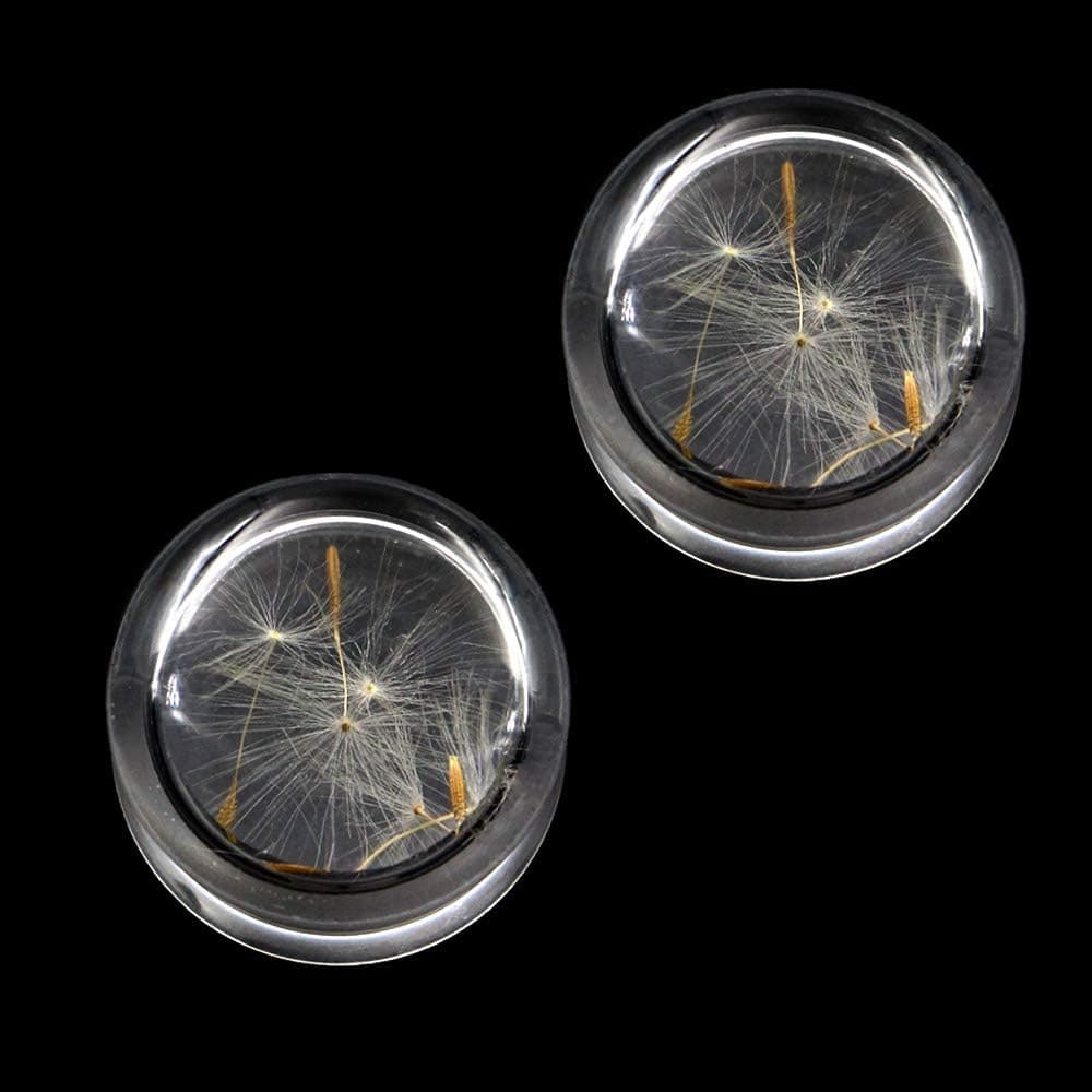 Pierced Republic Dandelion Seed & Sprout Ear Plugs - Real Seeds! - Double Flare Saddle - 8 Sizes - Pair - New